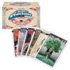 Archie McPhee Super Awesome Future! Fortune Cards - Oversized - 3 x 4.75 inch - Cat Lady, Zombies, Blender and More Cards - Modern Illustrations - Novelty Toys (36pc Set) view 2