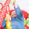 Red Kite 2in1 Safari Activity Playgym & Mat - Petal Shaped - Suitable from Birth view 2