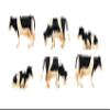 Kids Globe 90670 - Black and White Cows, Assorted Colours view 1
