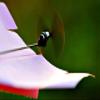 Folding Electric Power Paper Aircraft Conversion Kit Toy Gift by 24/7 store view 2