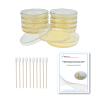 EZ BioResearch Bacteria Science Kit (IV): Top Science Fair Project Kit. Prepoured LB-Agar Plates And Cotton Swabs. Exclusive Free Science Fair Project E-Book Packed With Award Winning Experiments (IV) view 1