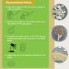 EZ BioResearch Bacteria Science Kit (IV): Top Science Fair Project Kit. Prepoured LB-Agar Plates And Cotton Swabs. Exclusive Free Science Fair Project E-Book Packed With Award Winning Experiments (IV) view 3