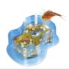 Clementoni Science Kit - Triops Kweken 7+ - German - Biology - Unisex - Kids - Observation Skills, Life Cycle view 2