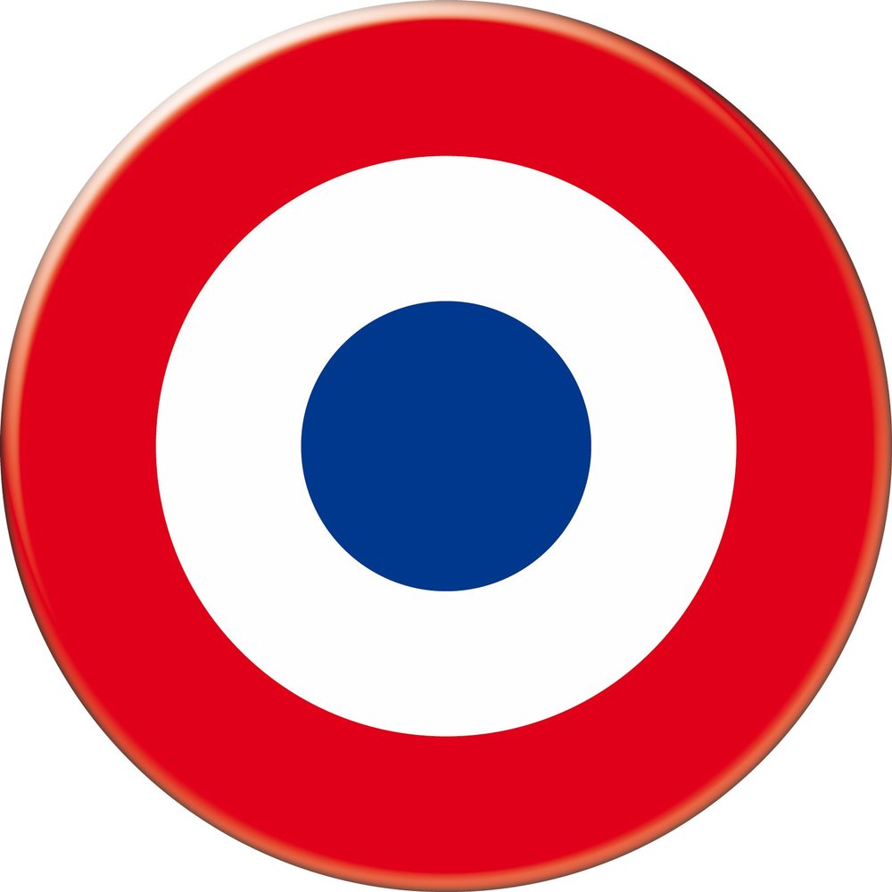 Roundel France Flat Back