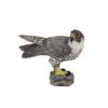 CollectA Peregrine Falcon view 1