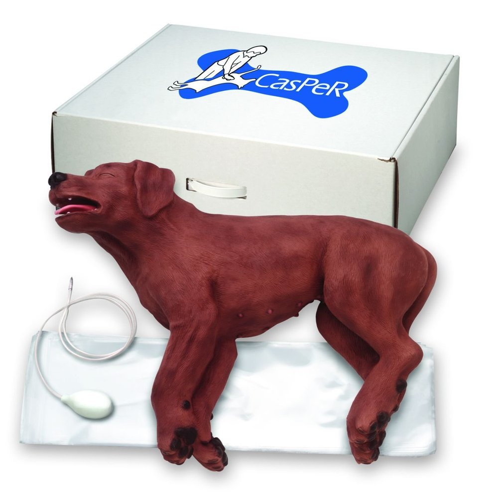 Simulaids - CasPeR The CPR Dog by Simulaids