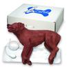 Simulaids - CasPeR The CPR Dog by Simulaids view 1