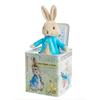 Beatrix Potter Peter Rabbit Jack-in-The-Box, Multi-colored, Standard view 1