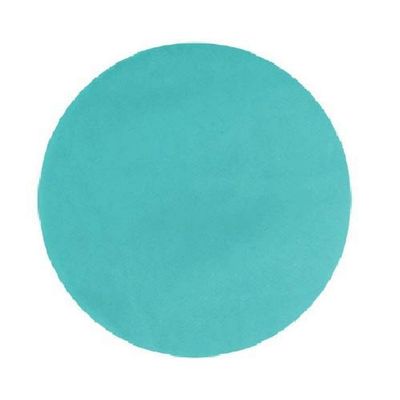Amscan Easter Tulle Circles Party Supplies, One Size, Blue