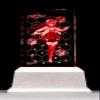 Academic City Asterisk Ulysse Alexia von Liesfeld Premium Crystal (with Serial Number) view 2