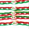 Five Mexico Flag Friendship Bracelets Mexican Color Tricolor Set Pack Red, Green, White view 2