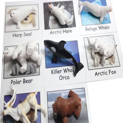 Montessori Arctic Polar Animal Match - Miniature Arctic Animal Toy Figurines with Matching Cards - 2 Part Cards. Montessori Learning Toy, Language Materials Busy Bag Activity