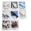 Montessori Arctic Polar Animal Match - Miniature Arctic Animal Toy Figurines with Matching Cards - 2 Part Cards. Montessori Learning Toy, Language Materials Busy Bag Activity view 4