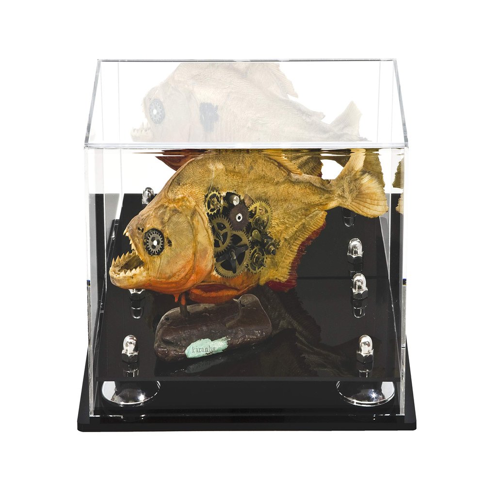 Better Display Cases Versatile Acrylic Display Case - Small Rectangle Box with Silver Risers Mirror and Wall Mount 9.5" x 6" x 6.5" (A005-SR)