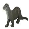 3pk Sea Otters - 2 Baby Otters & 1 Adult Otter Realistic Rubber Replica by Mamejo Nature view 3