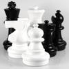 Chess House Giant Set Premium Pieces 25 inch King - Black and White - Complete with 32 Pieces - All Weather Indoor Outdoor - Home Park Resort Campground - Weightable - E060 view 2