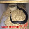 COTOSEY 53" Rubber Snake Realistic Fake Snakes Toy for Fool's Day Pranks Halloween view 3