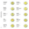 Lindner 1118-18 Vordruckblatt fr 2 Euro-Gedenkmnzen: Griechenland Januar 2016 bis Finnland April 2016 view 1