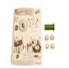 Rolly Toys Replacement Parts Set, Bag with 4 Hat Caps 12 mm and Mounting Aid, Accessories for Rolly Toys X100200120000, Green view 1