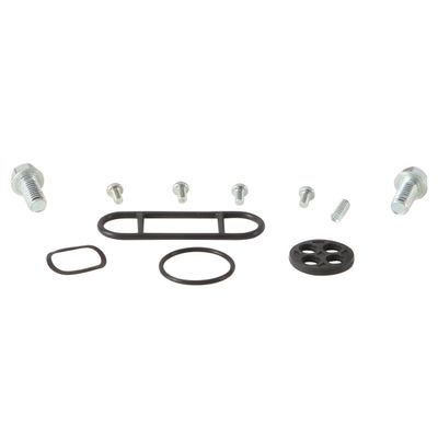 ALL BALLS RACING Rear Independent Suspension Kit
