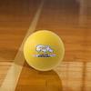 Champion Sports Rhino Skin Low Bounce Ultra Grip Dodgeball Set view 2