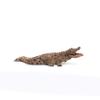 Schleich Wild Life, Realistic Wild Animal Toy for Boys and Girls, Crocodile Toy Figurine with Movable Jaw view 4