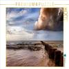 CALVENDO Puzzle Ahrenshoop groynes 1000 Pieces 64 x 48 cm from Steffen Gierok ; Magik Artist Design view 1