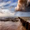CALVENDO Puzzle Ahrenshoop groynes 1000 Pieces 64 x 48 cm from Steffen Gierok ; Magik Artist Design view 3