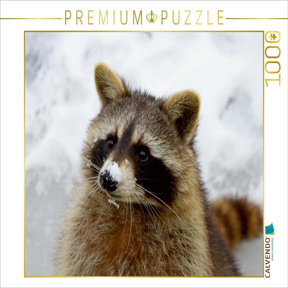 CALVENDO Puzzle Raccoon in The Snow 1000 Pieces 64 x 48 cm from Antje Lindert-Rottke
