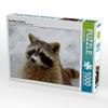 CALVENDO Puzzle Raccoon in The Snow 1000 Pieces 64 x 48 cm from Antje Lindert-Rottke view 4