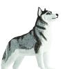 Safari Ltd. Siberian Husky Figurine - Detailed 3.25" Plastic Model Figure - Fun Educational Play Toy for Boys, Girls & Kids Ages 3+ view 4