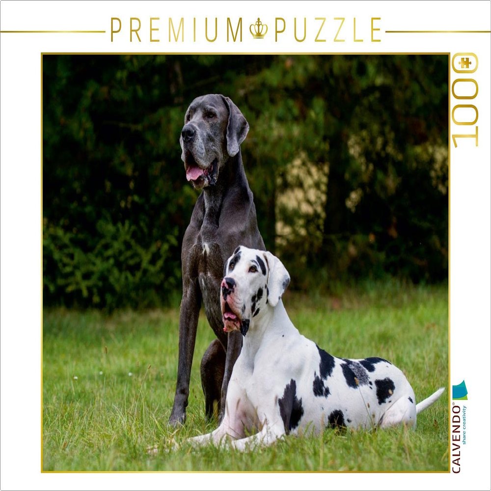 CALVENDO Puzzle Great Dane 2017 1000 Pieces 64 x 48 cm from Sista-Tierfoto