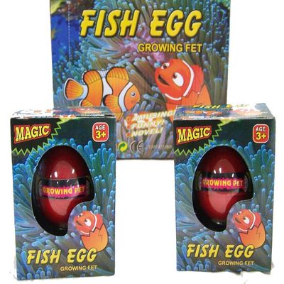 4 eggs HATCHING AND GROWING CLOWN FISH NOVELTY TOY EGG