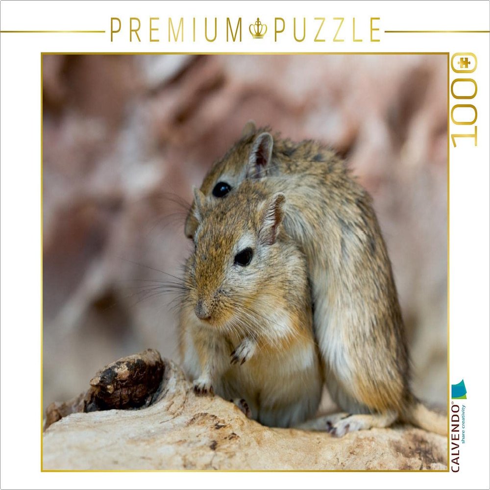 CALVENDO Puzzle Cuddle Hour 1000 Pieces 64 x 48 cm from PuraVida