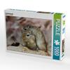 CALVENDO Puzzle Cuddle Hour 1000 Pieces 64 x 48 cm from PuraVida view 4