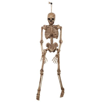 Bristol Novelty HI334 Skeleton, Brown/Beige, One Size