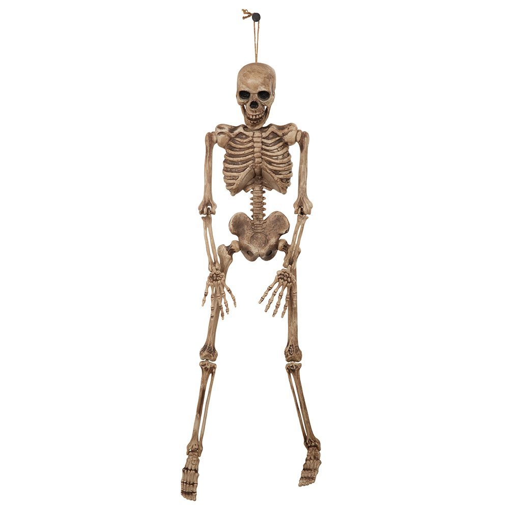 Bristol Novelty HI334 Skeleton, Brown/Beige, One Size