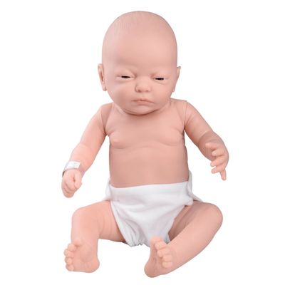 3B Scientific caucasian Belonil W17000 Baby Care Model, Male