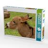 CALVENDO Puzzle Gourmet 1000 Pieces 64 x 48 cm from Sigrun Dll view 1