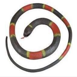 Fake Realistic Looking 48 Inch Curled Up Rubber Eastern Coral Snake