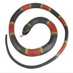 Fake Realistic Looking 48 Inch Curled Up Rubber Eastern Coral Snake