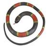 Fake Realistic Looking 48 Inch Curled Up Rubber Eastern Coral Snake view 1