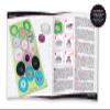 Lena 42595 - trs Chic Button Style, Craft Set Included view 3