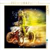 CALVENDO Puzzle Quad, Extremely Cool 1000 Pieces 64 x 48 cm from Peter Roder view 1