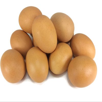 perfect2desire Egg Artificial Lifelike Food Set Simulation Faux Fake Chicken Egg 12 Pieces