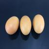 perfect2desire Egg Artificial Lifelike Food Set Simulation Faux Fake Chicken Egg 12 Pieces view 3
