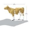 Safari Ltd. Guernsey Cow Figurine - Lifelike 5" Farm Animal Figure - Educational Toy for Boys, Girls, and Kids Ages 3+ view 3