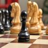 The DGT Projects Electronic Chess Board (E-Board) - USB Connection (Rosewood Board w/DGT Ebonized Boxwood Dubrovnik Chess Pieces) view 4