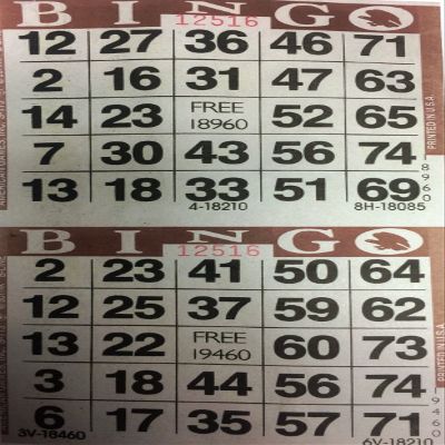 American Games INC 3000 Paper Bingo Cards-2 Cards per sheet-1500 Sheets [Choose Color Below] (Brown)