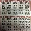 American Games INC 3000 Paper Bingo Cards-2 Cards per sheet-1500 Sheets [Choose Color Below] (Brown) view 1